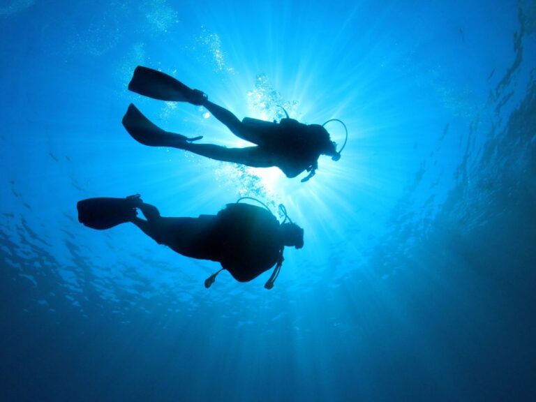 Andaman islands couple diving