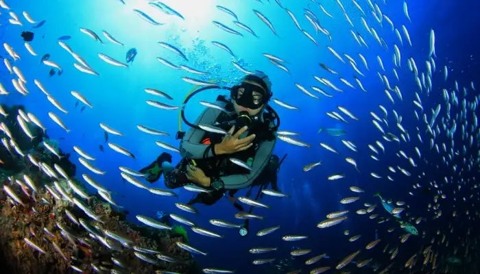 Grouper Farm Dive Site circa sail