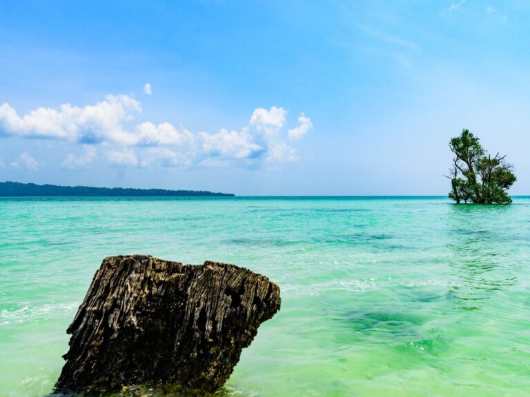 Havelock Island
