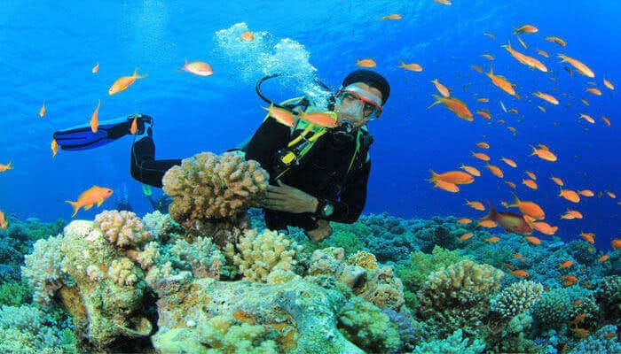 Lembu Rocks Dive Site