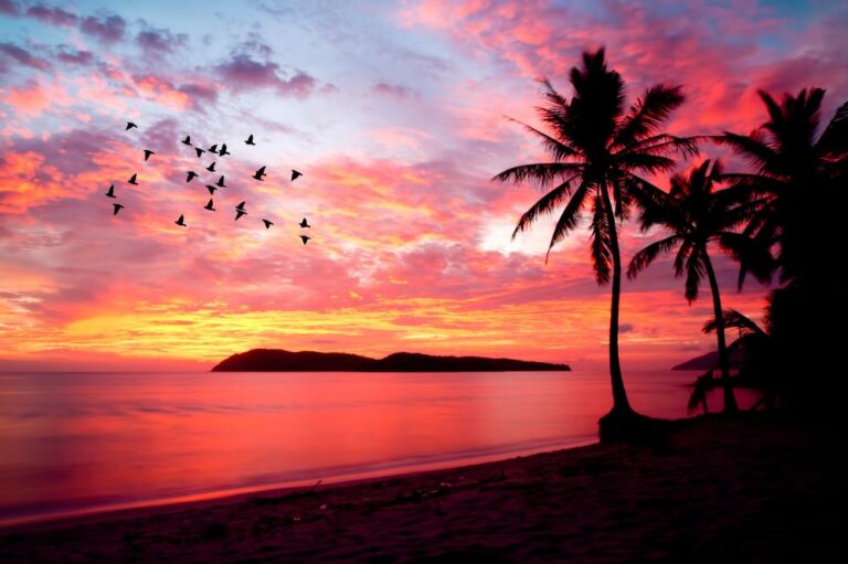 circa sail luxury langkawi yacht charter