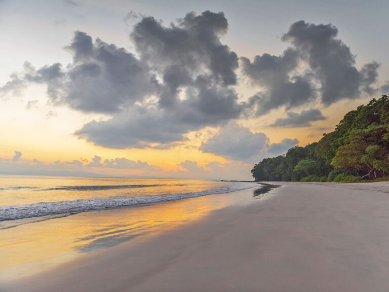 Radhanagar Beach