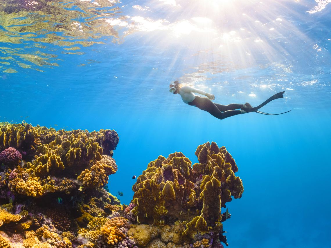 snorkelling coral reef https://www.circasail.com/wp-content/uploads/2026/08/snorkelling-coral-reef.jpg
