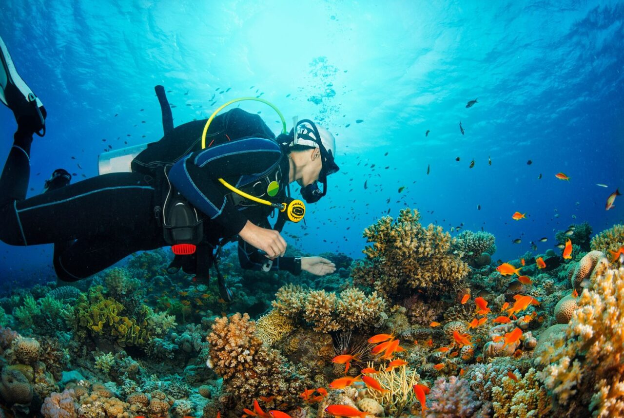 Top 3 Reasons to Dive Malaysia’s West Coast